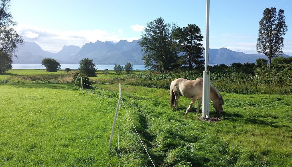 苏特兰 Bo Huset旅馆 外观 照片